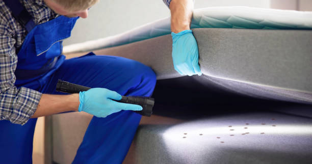 Best Best Pest Control Near Me  in Limestone Creek, FL