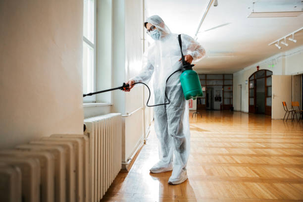 Best Flea Control Services  in Limestone Creek, FL