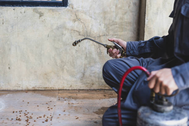 Best Pest Control Near Me  in Limestone Creek, FL